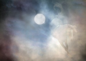 Le rêve