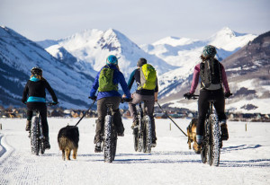 velo-fatbike