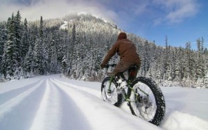 fat bike