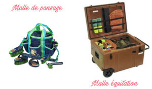 Malle de pansage ou malle équitation ? On vous explique la différence
