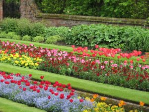 Parterres de fleurs en espaces publics