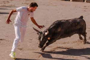 course camarguaise